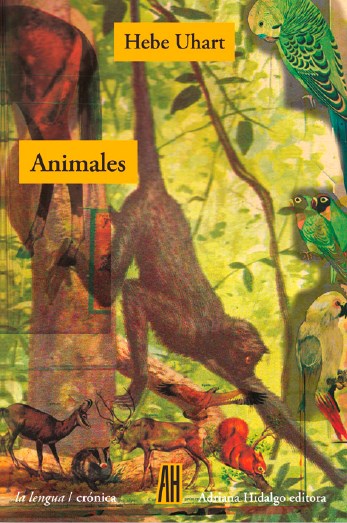 Papel ANIMALES