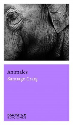Papel ANIMALES