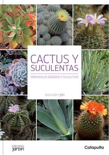 Papel Cactus Y Suculentas