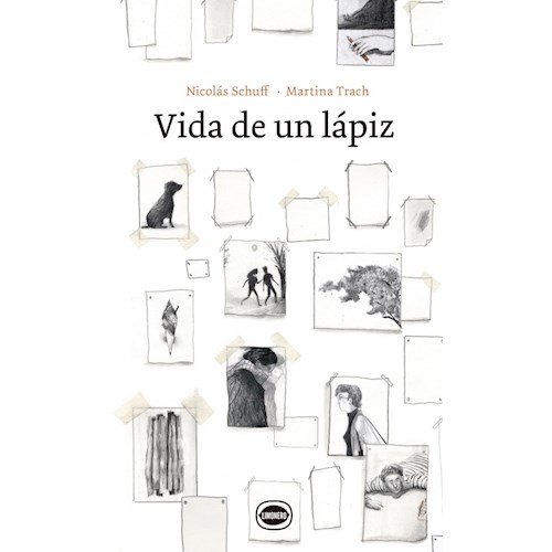 Papel VIDA DE UN LAPIZ