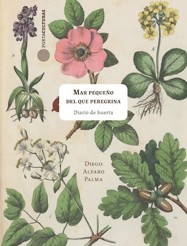 Papel MAR PEQUEÑO DEL QUE PEREGRINA, DIARIO DE HUERTA