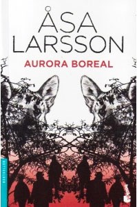 Papel AURORA BOREAL