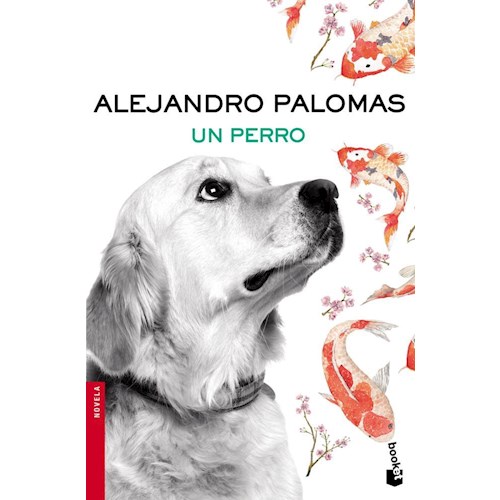 Papel UN PERRO