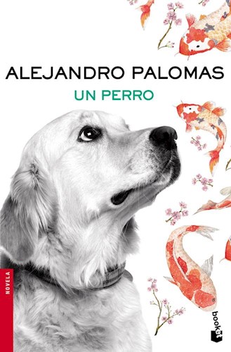  Un Perro