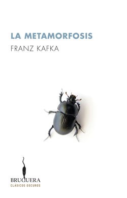  Metamorfosis  La