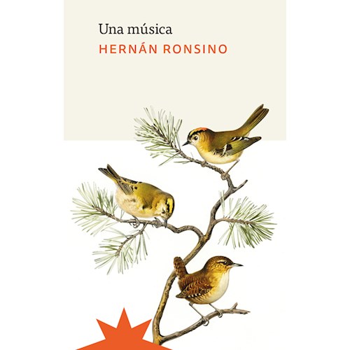 Papel UNA MÚSICA