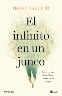 Papel INFINITO EN UN JUNCO, EL