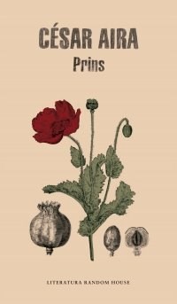Papel PRINS