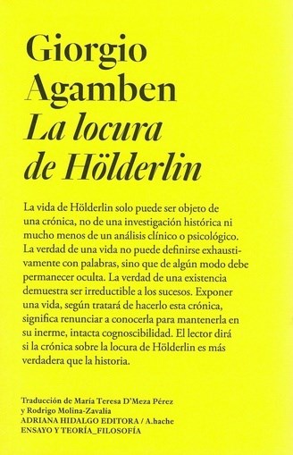 Papel LA LOCURA DE HOLDERLIN