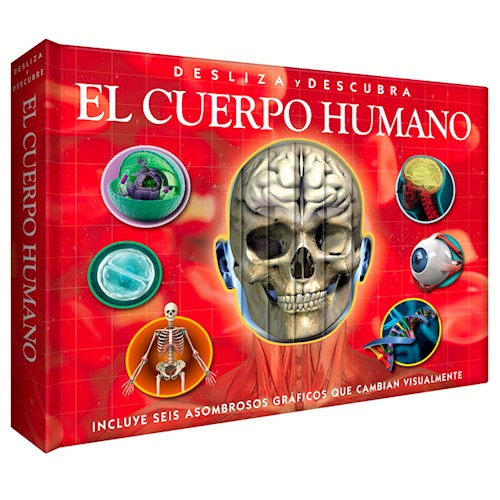  Cuerpo Humano Desliza Y Descubre Incluyen Grafico Asombro  E