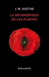 Papel LA METAMORFOSIS DE LAS PLANTAS