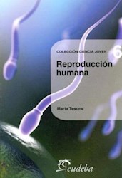 Papel Reproducción humana (N°6)