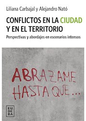 E-book Conflictos en la ciudad y en el territorio