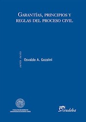 E-book Garantías, principios y reglas del proceso civil