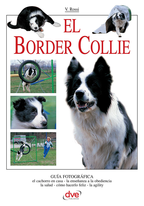 E-book El Border Collie