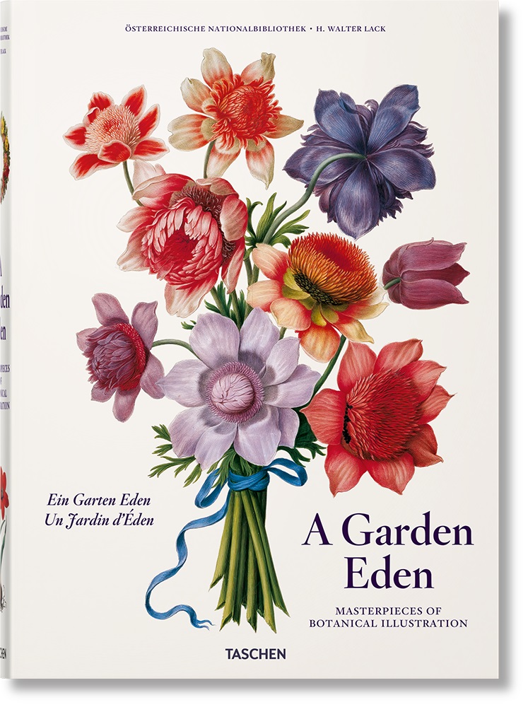 Papel A Garden Eden