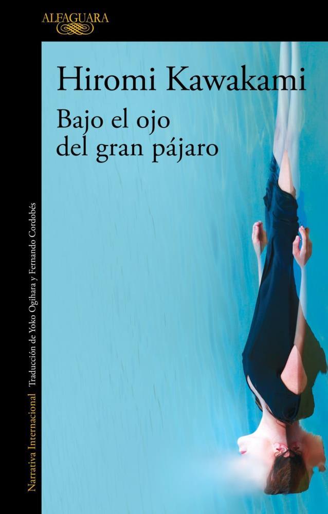 Papel Bajo El Ojo Del Gran Pajaro