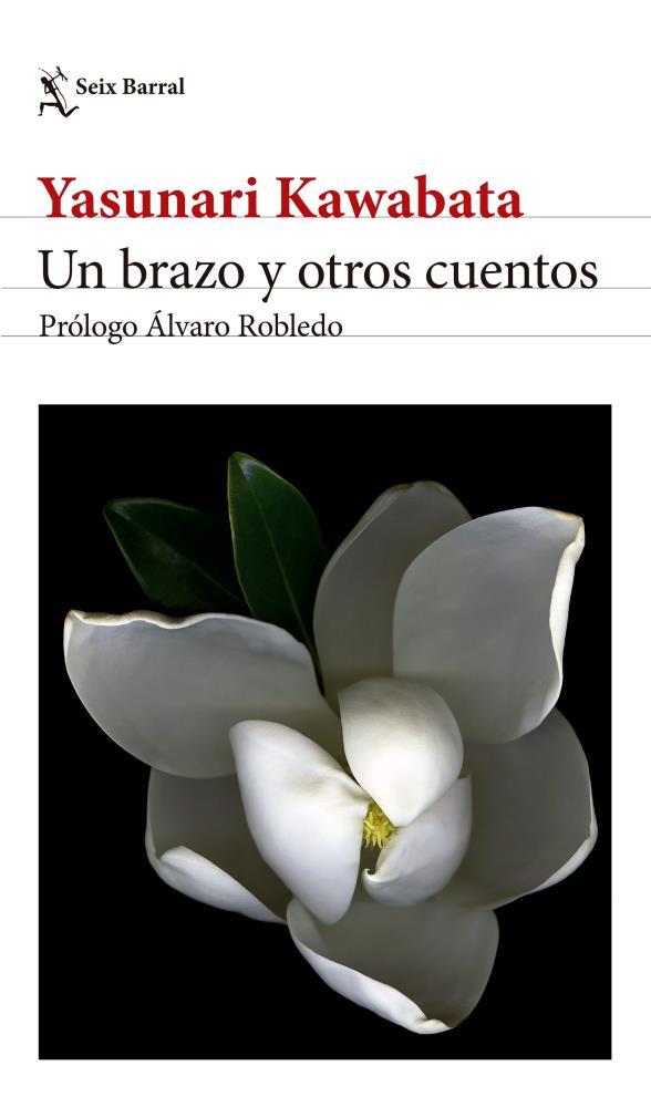 Papel Un Brazo Y Otros Cuentos. Edicion 2024