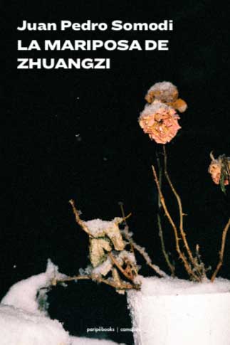 Papel Mariposa Del Zhuangzi, La