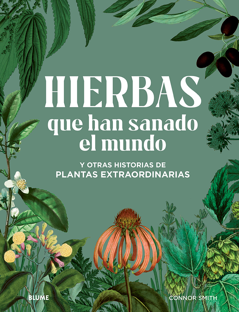 Papel Hierbas Que Han Sanado El Mundo