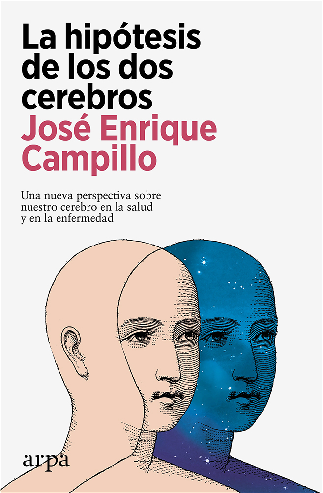 Papel La Hipotesis De Los Dos Cerebros