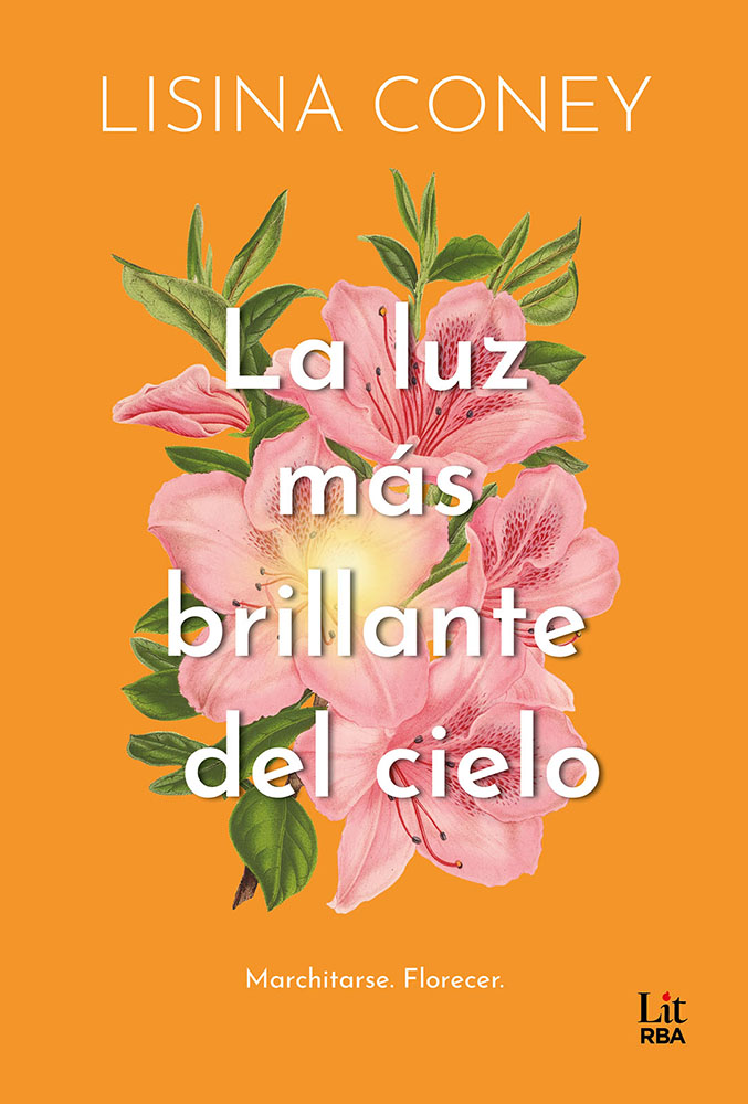 Papel Luz Mas Brillante Del Cielo, La