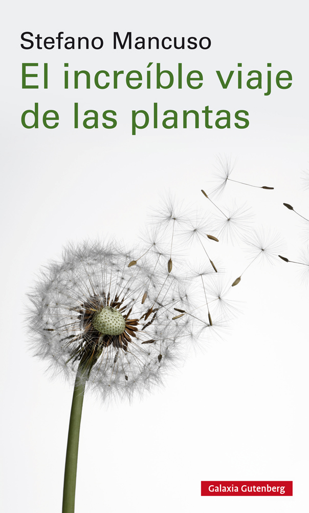 Papel Increible Viaje De Las Plantas, El