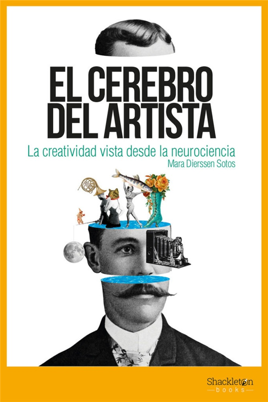 Papel Cerebro Del Artista, El