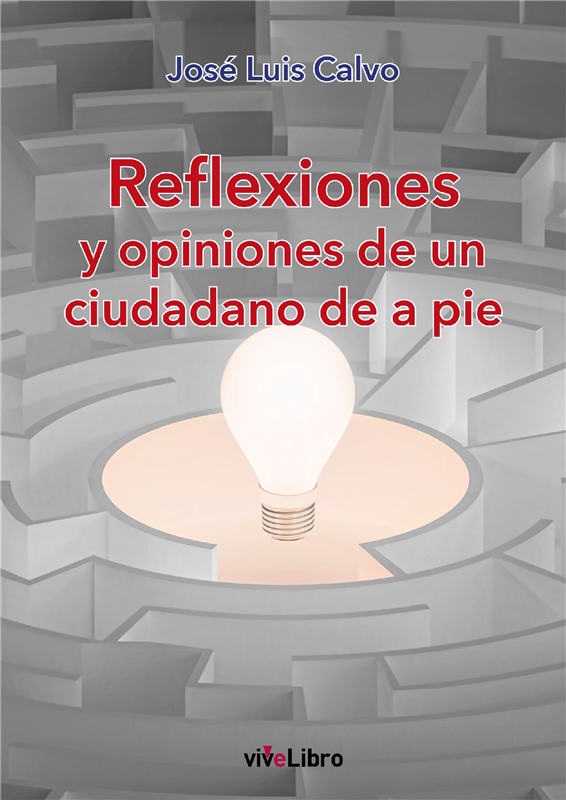 E-book Reflexiones Y Opiniones De Un Ciudadano De A Pie