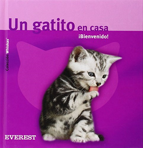 Papel GATITO EN CASA BIENVENI-WHISKA