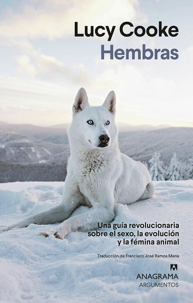 Papel Hembras