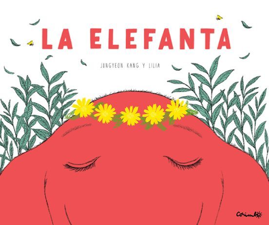 Papel Elefanta, La