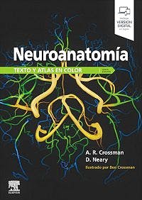 Papel Neuroanatomia Texto Y Atlas En Color 6Ed