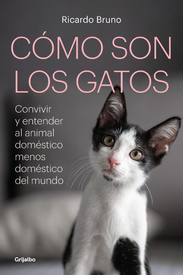 Papel Como Son Los Gatos?