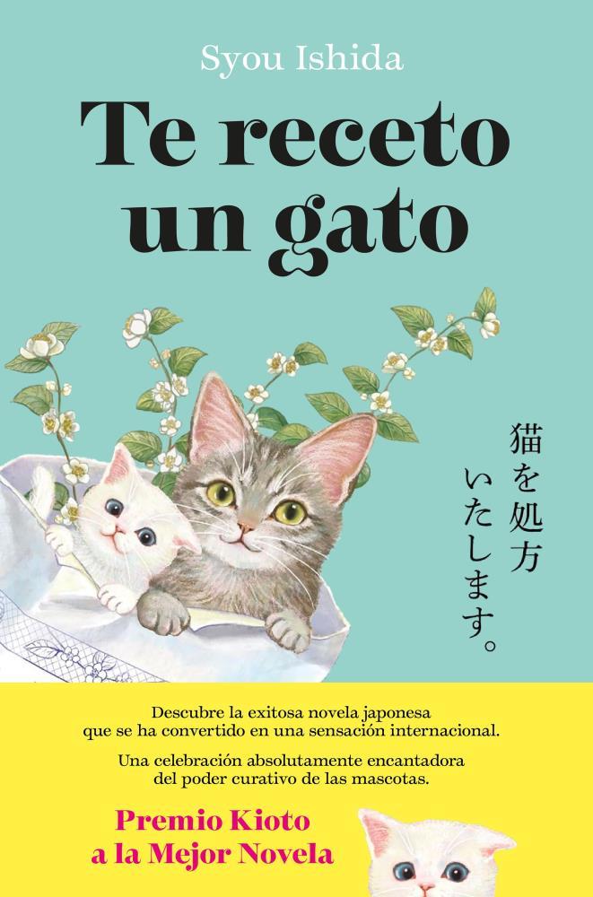 Papel Te Receto Un Gato