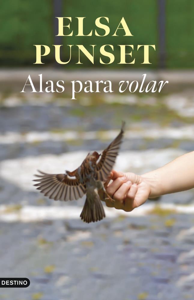 Papel Alas Para Volar