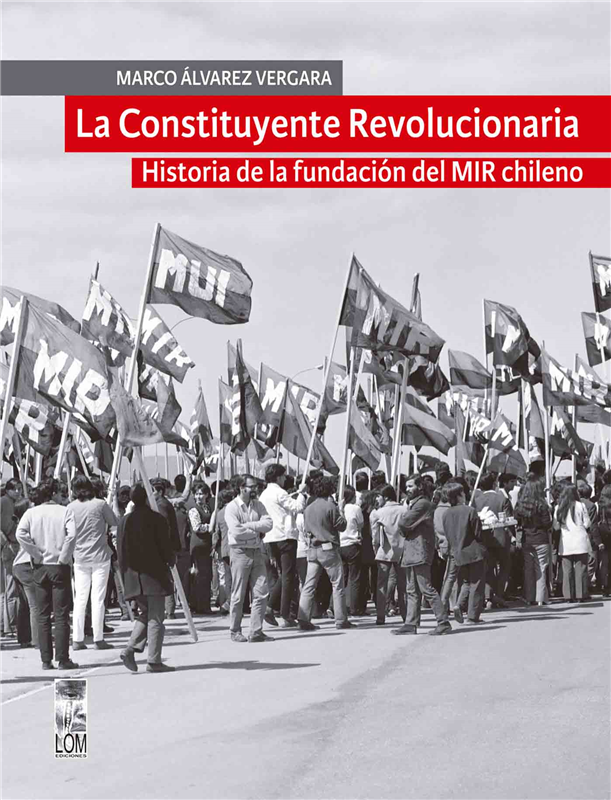 E-book La Constituyente Revolucionaria