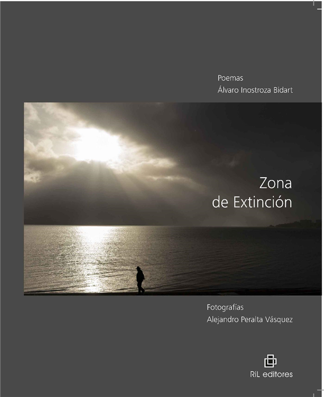 E-book Zona De Extinción