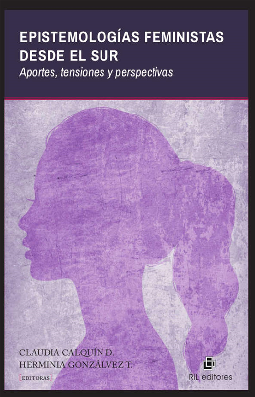 E-book Epistemologías Feministas Desde El Sur: Aportes, Tensiones Y Perspectivas