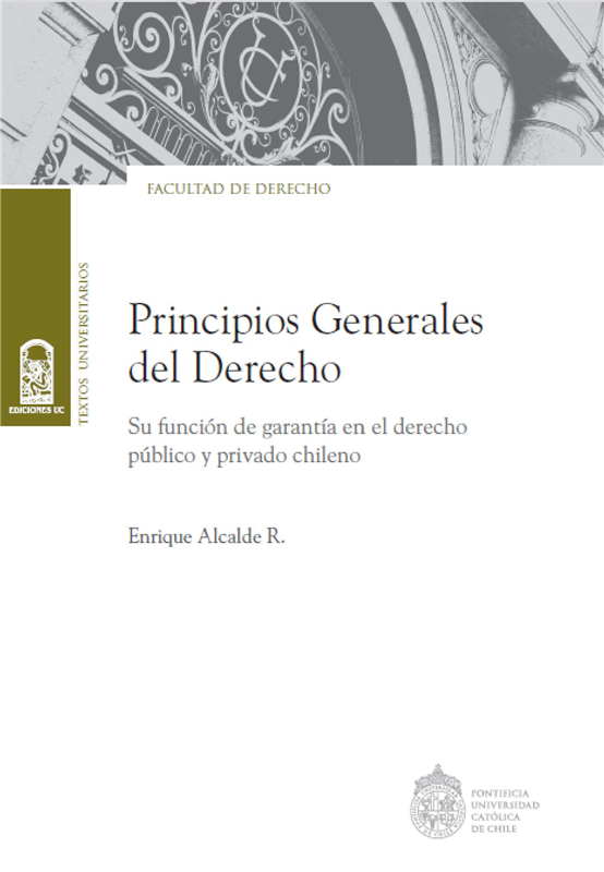 E-book Principios Generales Del Derecho