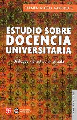  ESTUDIO SOBRE DOCENCIA UNIVERSITARIA