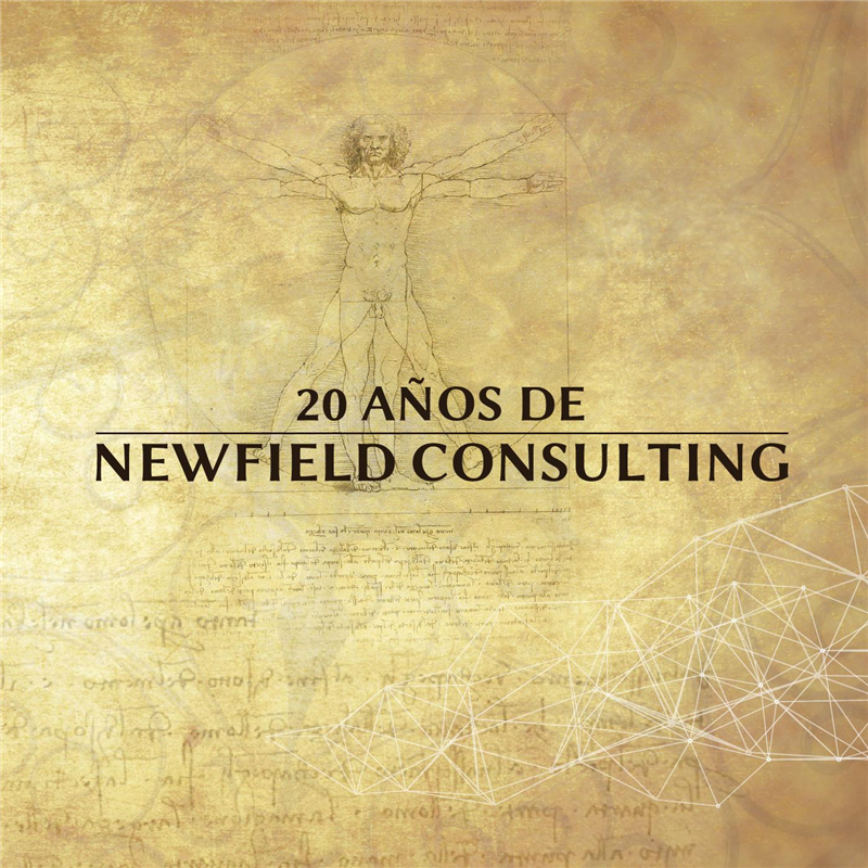 E-book 20 Años De Newfield Consulting