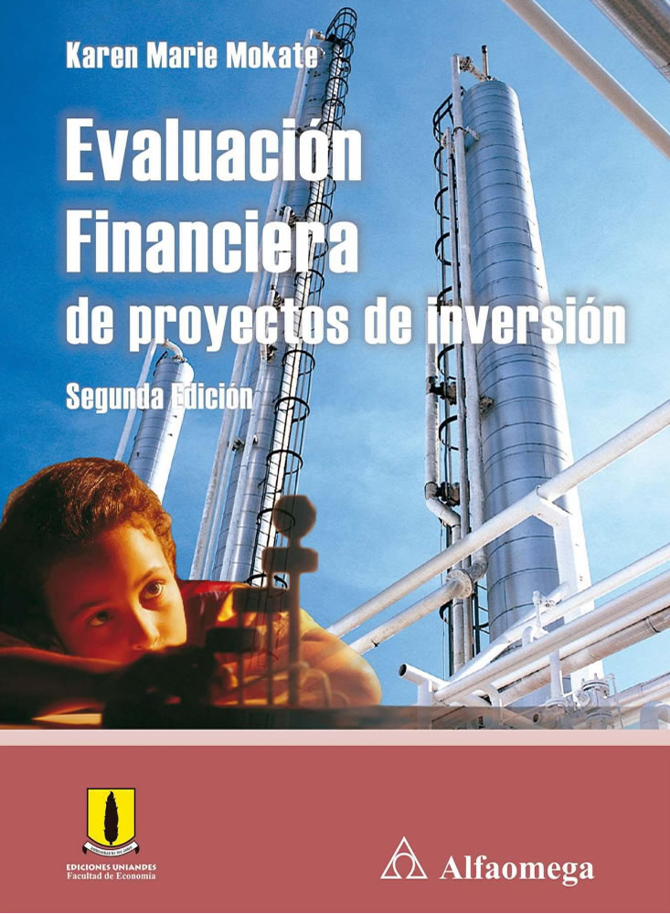 Papel Evaluación Financiera De Proyectos De Inversión