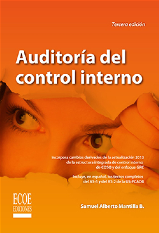 E-book Auditoría De Control Interno