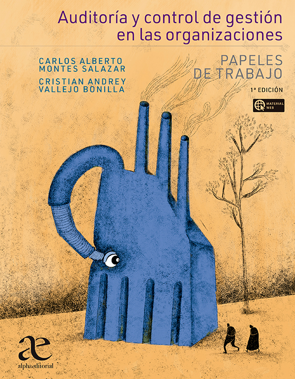 Papel Auditoría Y Control De Gestión En Las Organizaciones