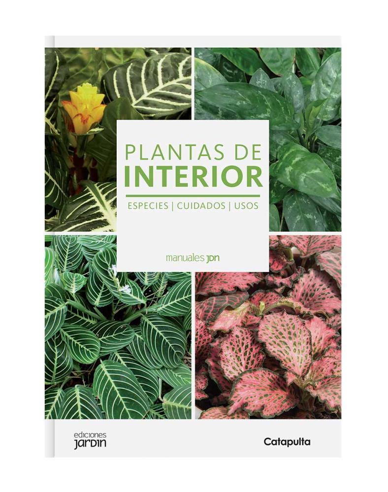 Papel Plantas De Interior