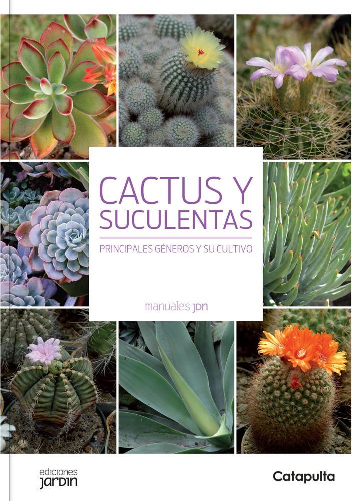 Papel Cactus Y Suculentas