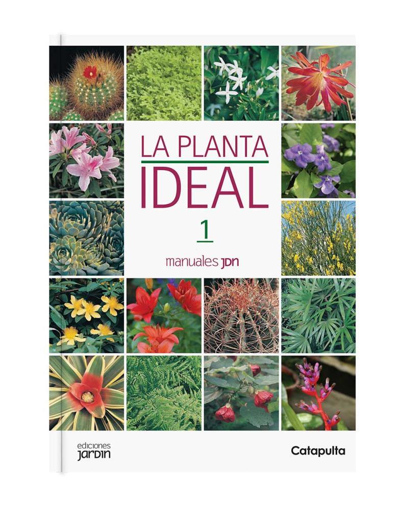 Papel Planta Ideal, La