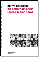 Papel Estrategias De La Reproduccion Social