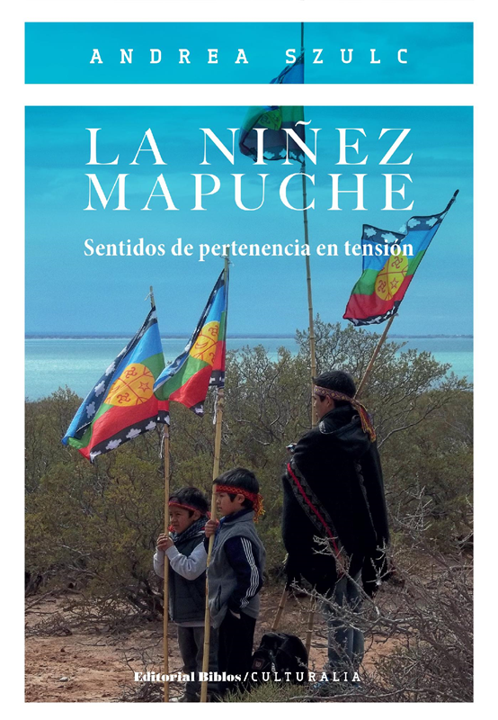 E-book La Niñez Mapuche